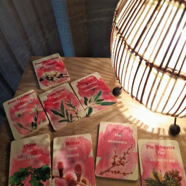 Cartes en bois des 38 fleurs de Bach par Magalie Cortinovis [product.brand] 2 - mesfleursdebach.com 