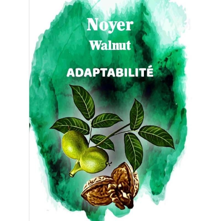 Cartes en bois des 38 fleurs de Bach par Magalie Cortinovis [product.brand] 3 - mesfleursdebach.com 