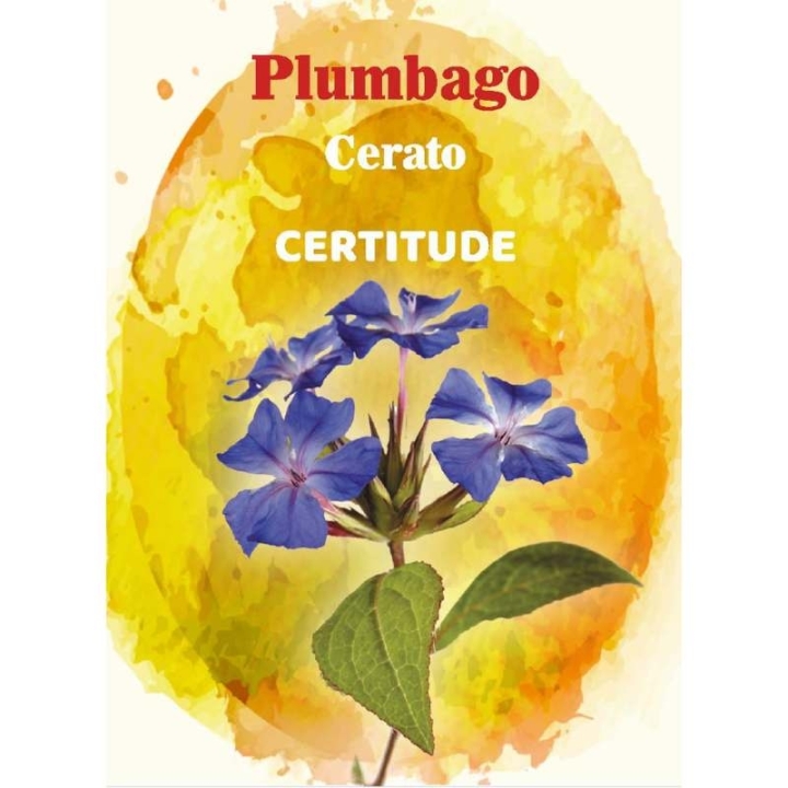 Cartes en bois des 38 fleurs de Bach par Magalie Cortinovis [product.brand] 6 - mesfleursdebach.com 