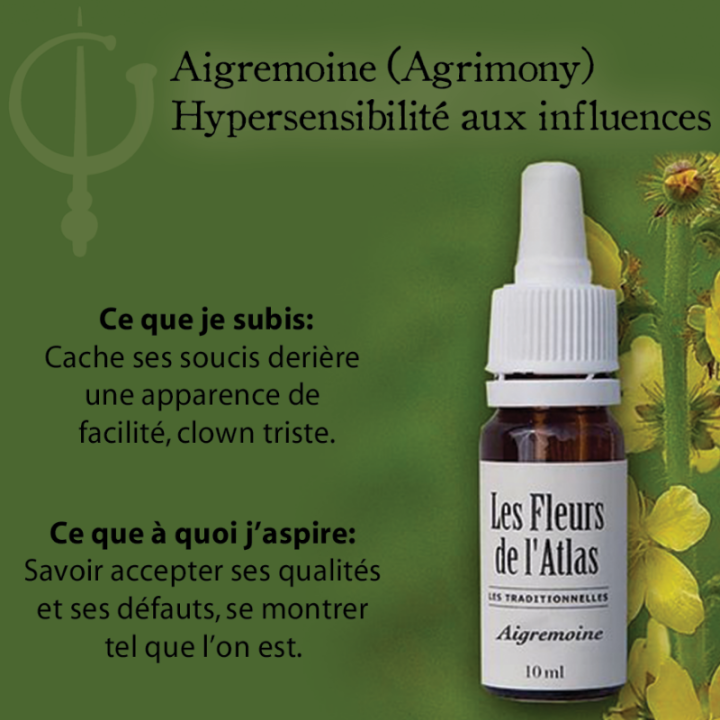 Agrimony Fleurs de Bach sans alcool - Fleurs de l'Atlas 30 ml (Aigremoine) Fleurs de l'Atlas - Sans alcool 3 - mesfleursdebach.c