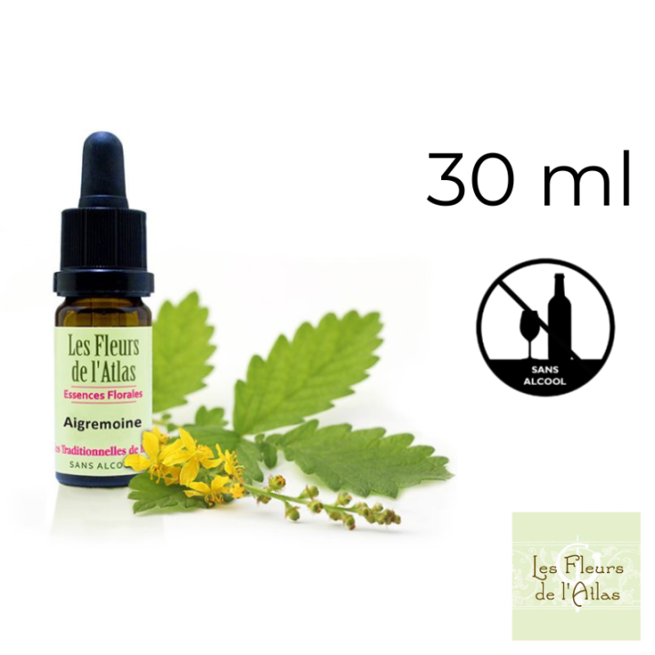 Agrimony Fleurs de Bach sans alcool - Fleurs de l'Atlas 30 ml (Aigremoine) Fleurs de l'Atlas - Sans alcool 1 - mesfleursdebach.c