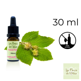Beech Fleurs de Bach sans alcool - Fleurs de l'Atlas 30 ml (Hêtre) Fleurs de l'Atlas - Sans alcool 1 - mesfleursdebach.com 