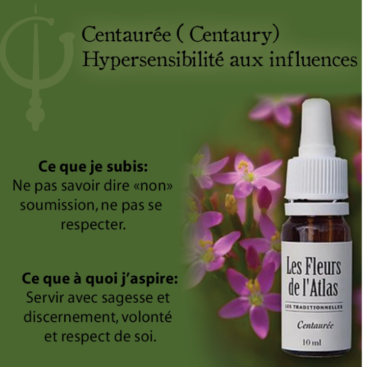 Centaury Fleurs de Bach sans alcool -Fleurs de l'Atlas 30 ml (Centaurée) Fleurs de l'Atlas - Sans alcool 3 - mesfleursdebach.com