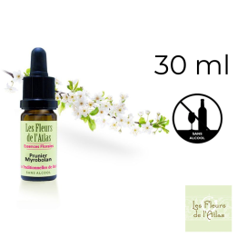 Cherry Plum Fleurs de Bach sans alcool - Fleurs de l'Atlas 30 ml (Prunier Myrobolan) Fleurs de l'Atlas - Sans alcool 1 - mesfleu