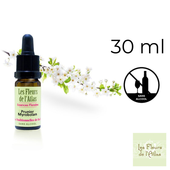 Cherry Plum Fleurs de Bach sans alcool - Fleurs de l'Atlas 30 ml (Prunier Myrobolan) Fleurs de l'Atlas - Sans alcool 1 - mesfleu