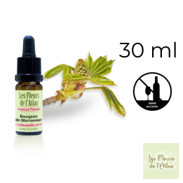 Chestnut Bud Fleurs de Bach sans alcool - Fleurs de l'Atlas 30 ml (Bourgeon de Marronnier) Fleurs de l'Atlas - Sans alcool 1 - m