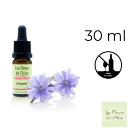 Chicory Fleurs de Bach sans alcool - Fleurs de l'Atlas 30 ml (Chicorée) Fleurs de l'Atlas - Sans alcool 1 - mesfleursdebach.com 