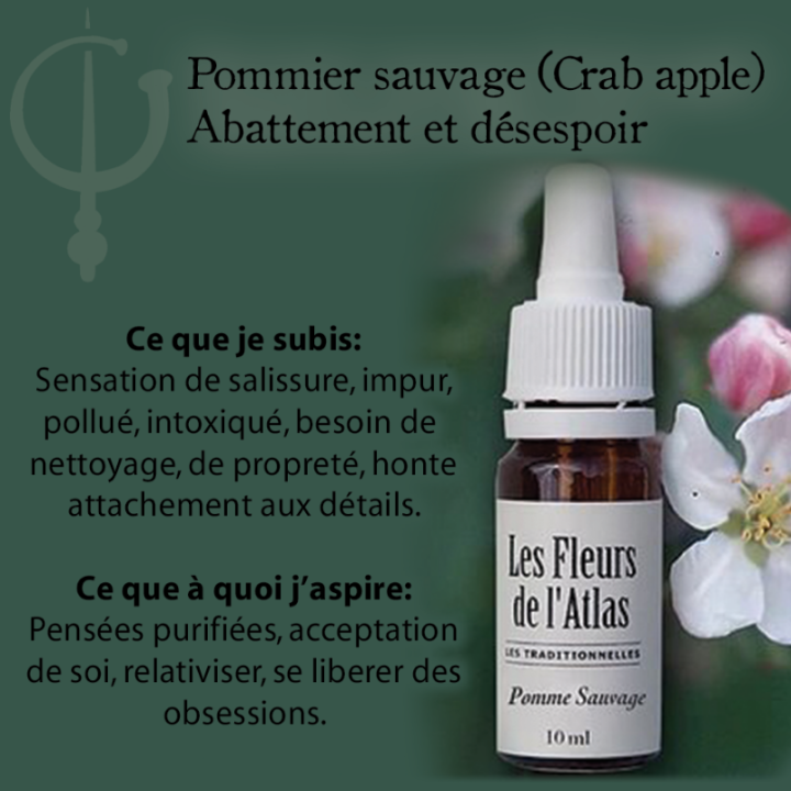 Crab Apple Fleurs de Bach sans alcool - Fleurs de l'Atlas 30 ml (Pommier Sauvage) Fleurs de l'Atlas - Sans alcool 3 - mesfleursd