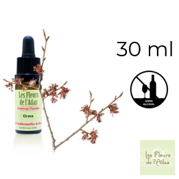 Elm Fleurs de Bach sans alcool - Fleurs de l'Atlas 30 ml (Orme) Fleurs de l'Atlas - Sans alcool 1 - mesfleursdebach.com 