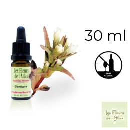 Gentian Fleurs de Bach sans alcool - Fleurs de l'Atlas 30 ml (Gentiane) Fleurs de l'Atlas - Sans alcool 1 - mesfleursdebach.com 