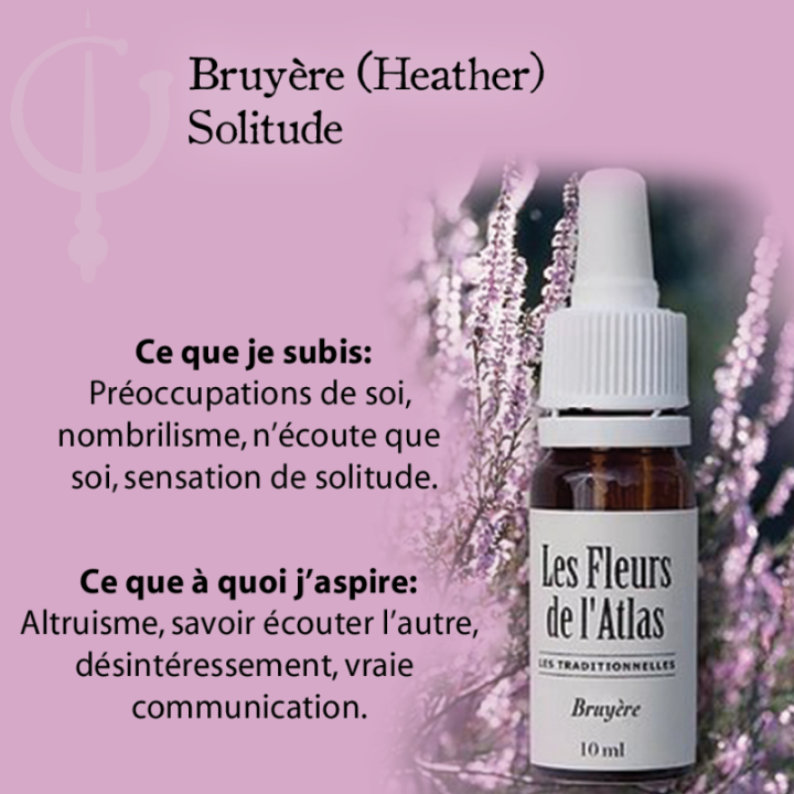 Heather Fleurs de Bach sans alcool - Fleurs de l'Atlas 30 ml (Bruyère) Fleurs de l'Atlas - Sans alcool 3 - mesfleursdebach.com 