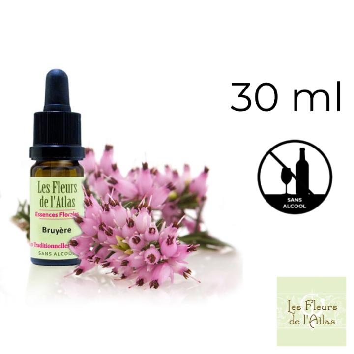 Heather Fleurs de Bach sans alcool - Fleurs de l'Atlas 30 ml (Bruyère) Fleurs de l'Atlas - Sans alcool 1 - mesfleursdebach.com 