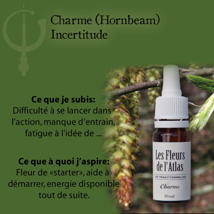 Hornbeam Fleurs de Bach sans alcool - Fleurs de l'Atlas 30 ml (Charme) Fleurs de l'Atlas - Sans alcool 3 - mesfleursdebach.com 