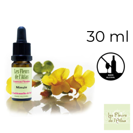 Mimulus Fleurs de Bach sans alcool - Fleurs de l'Atlas 30 ml (Mimule) Fleurs de l'Atlas - Sans alcool 1 - mesfleursdebach.com 