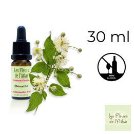 Clematis Fleurs de Bach sans alcool - Fleurs de l'Atlas 30 ml (Clématite) Fleurs de l'Atlas - Sans alcool 1 - mesfleursdebach.co