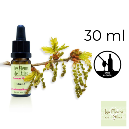 Oak Fleurs de Bach sans alcool - Fleurs de l'Atlas 30 ml (Chêne) Fleurs de l'Atlas - Sans alcool 1 - mesfleursdebach.com 