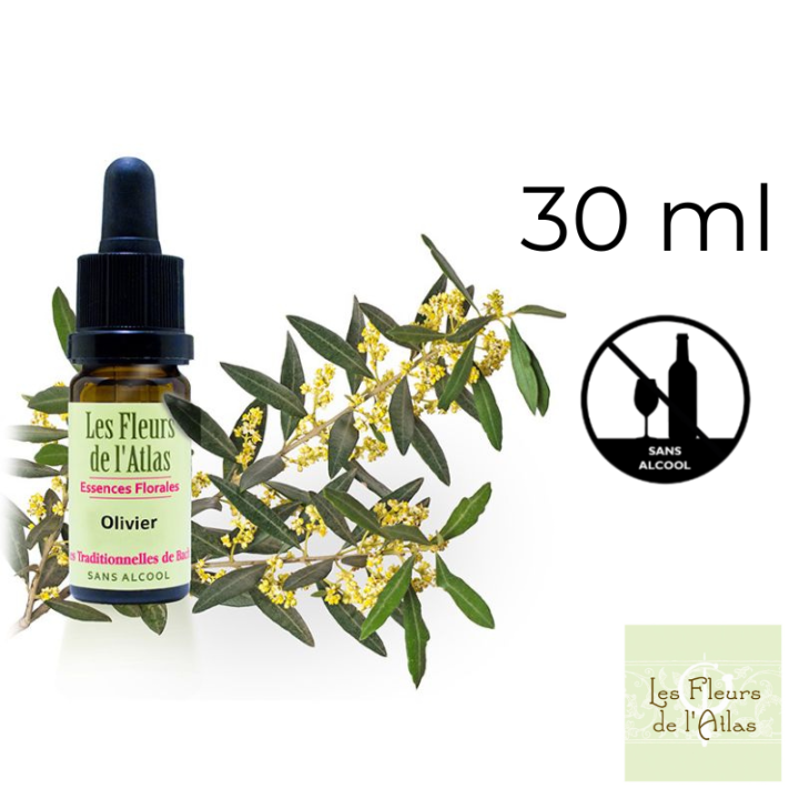 Olive Fleurs de Bach sans alcool - Fleurs de l'Atlas 30 ml (Olive) Fleurs de l'Atlas - Sans alcool 1 - mesfleursdebach.com 
