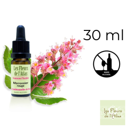 Red Chestnut Fleurs de Bach sans alcool - Fleurs de l'Atlas 30 ml (Marronnier Rouge) Fleurs de l'Atlas - Sans alcool 1 - mesfleu
