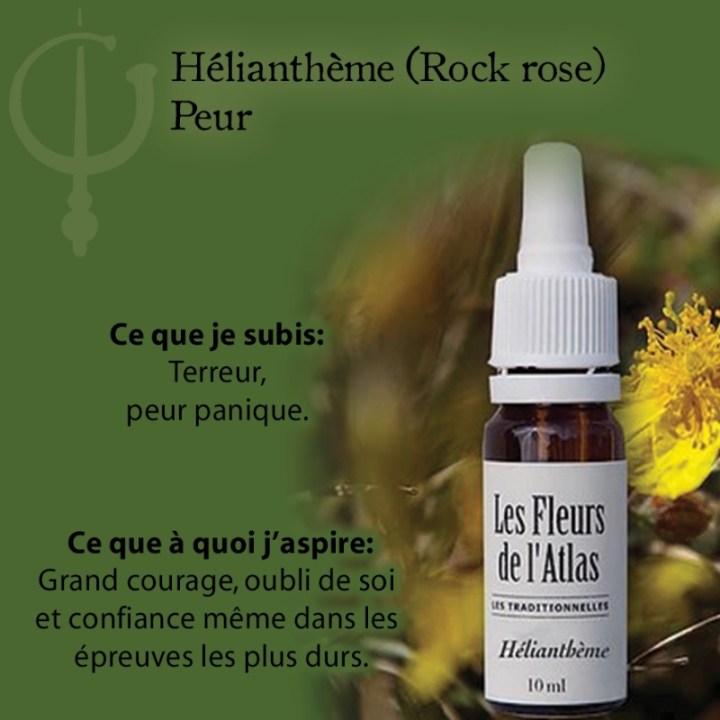 Rock Rose Fleurs de Bach sans alcool - Fleurs de l'Atlas 30 ml (Hélianthème) Fleurs de l'Atlas - Sans alcool 3 - mesfleursdebach