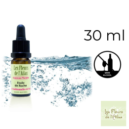 Rock Water Fleurs de Bach sans alcool - Fleurs de l'Atlas 30 ml (Eau de Roche) Fleurs de l'Atlas - Sans alcool 1 - mesfleursdeba