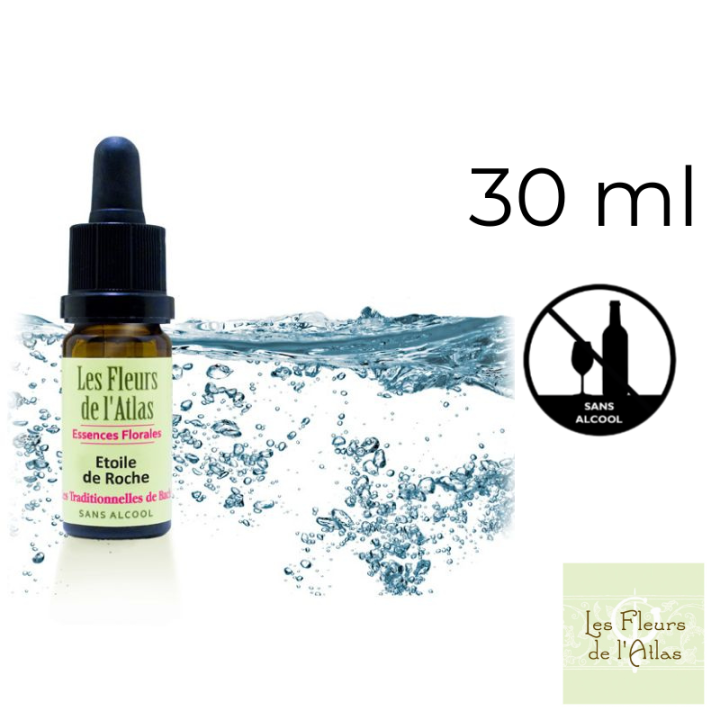 Rock Water Fleurs de Bach sans alcool - Fleurs de l'Atlas 30 ml (Eau de Roche) Fleurs de l'Atlas - Sans alcool 1 - mesfleursdeba
