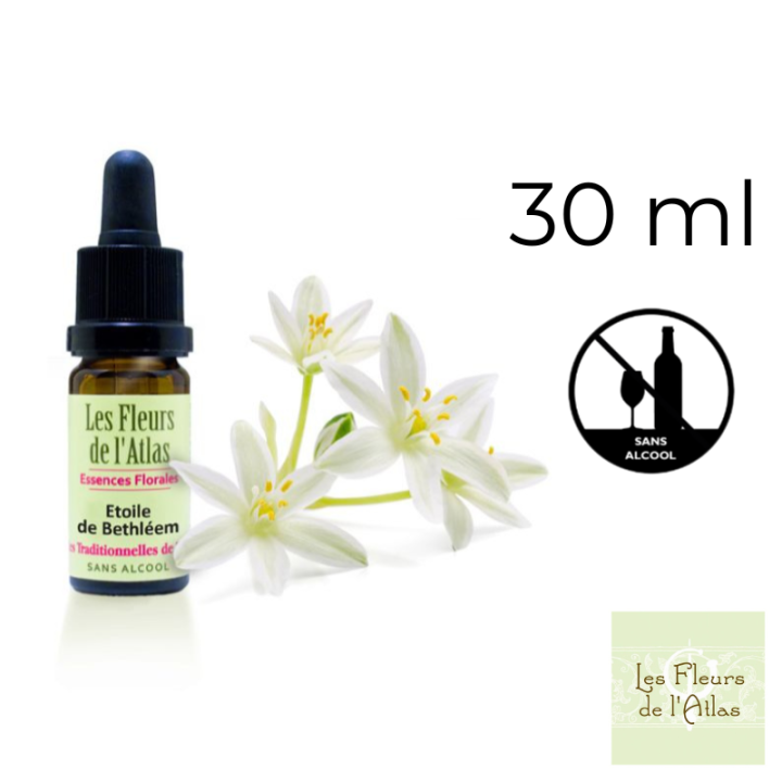 Star of Bethlehem Fleurs de Bach sans alcool - Fleurs de l'Atlas 30 ml (Étoile de Bethléem) Fleurs de l'Atlas - Sans alcool 1 - 