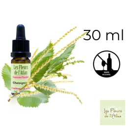 Sweet Chestnut Fleurs de Bach sans alcool - Fleurs de l'Atlas 30 ml (Châtaignier) Fleurs de l'Atlas - Sans alcool 1 - mesfleursd