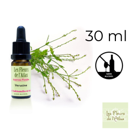 Vervain Fleurs de Bach sans alcool - Fleurs de l'Atlas 30 ml (Verveine) Fleurs de l'Atlas - Sans alcool 1 - mesfleursdebach.com 