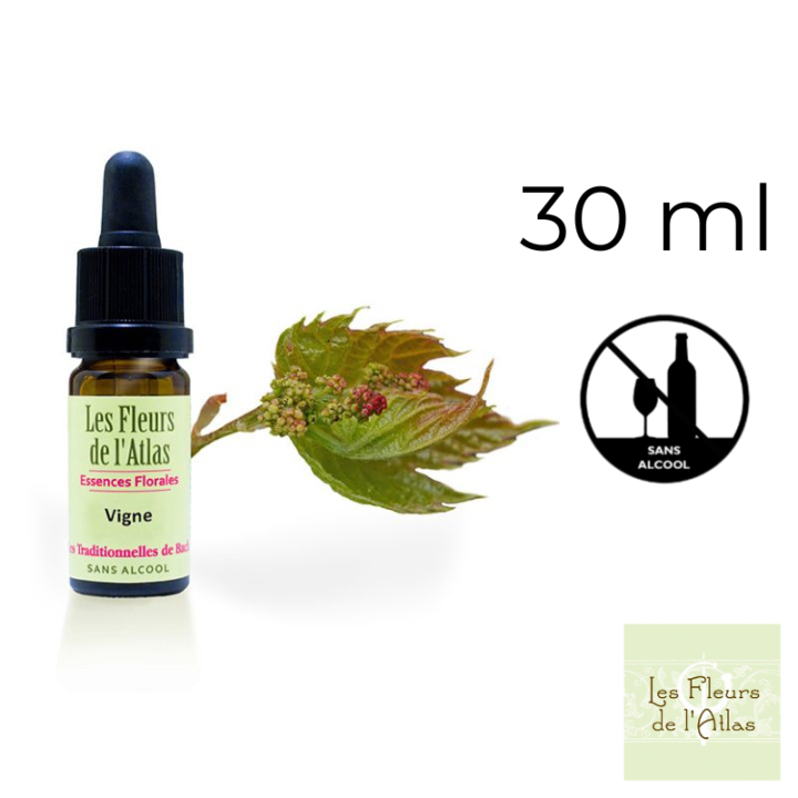 Vine Fleurs de Bach sans alcool - Fleurs de l'Atlas 30 ml (Vigne) Fleurs de l'Atlas - Sans alcool 1 - mesfleursdebach.com 