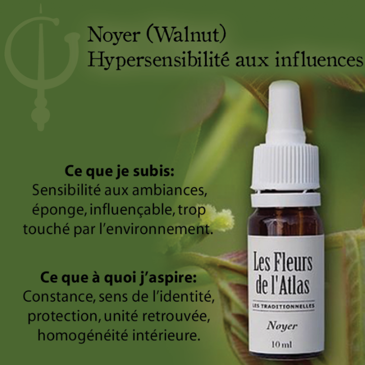 Walnut Fleurs de Bach sans alcool - Fleurs de l'Atlas 30 ml (Noyer) Fleurs de l'Atlas - Sans alcool 3 - mesfleursdebach.com 