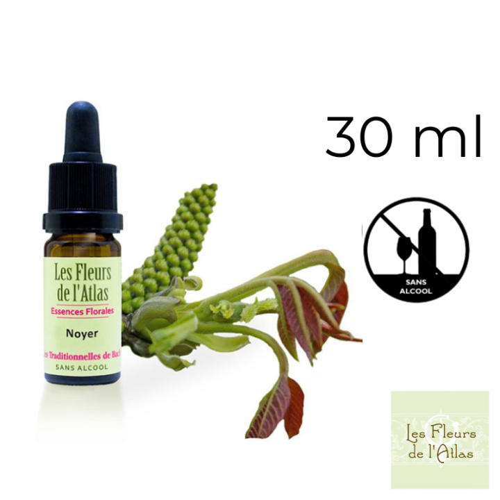 Walnut Fleurs de Bach sans alcool - Fleurs de l'Atlas 30 ml (Noyer) Fleurs de l'Atlas - Sans alcool 1 - mesfleursdebach.com 