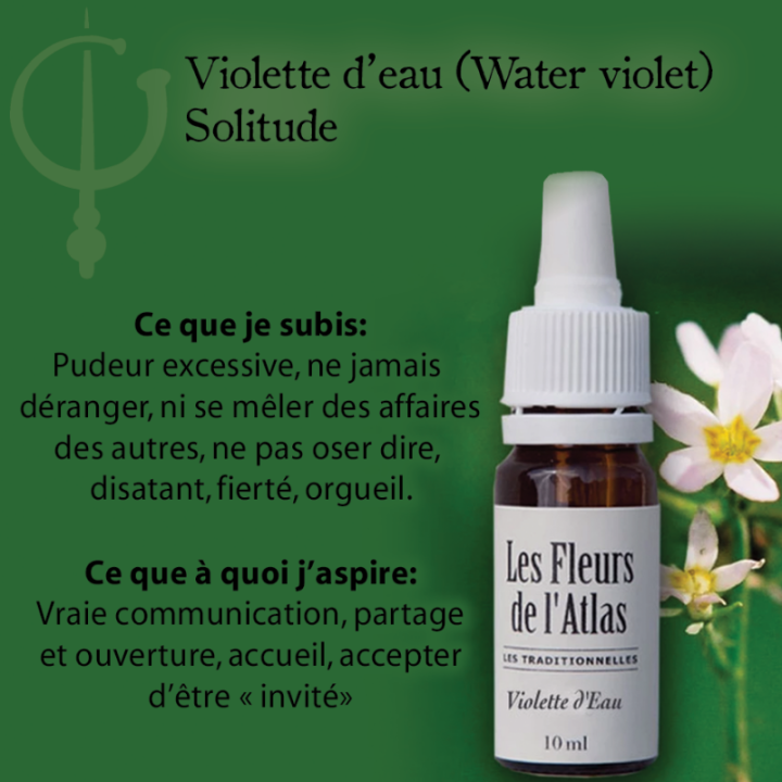 Water Violet Fleurs de Bach sans alcool - Fleurs de l'Atlas 30 ml (Violette d'Eau ou Hottonie des marais) Fleurs de l'Atlas - Sa