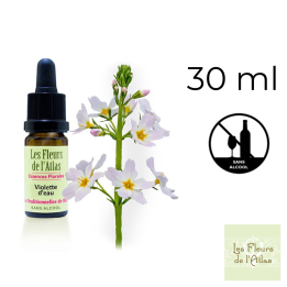 Water Violet Fleurs de Bach sans alcool - Fleurs de l'Atlas 30 ml (Violette d'Eau ou Hottonie des marais) Fleurs de l'Atlas - Sa