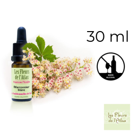 White Chestnut Fleurs de Bach sans alcool - Fleurs de l'Atlas 30 ml (Marronnier Blanc) Fleurs de l'Atlas - Sans alcool 1 - mesfl