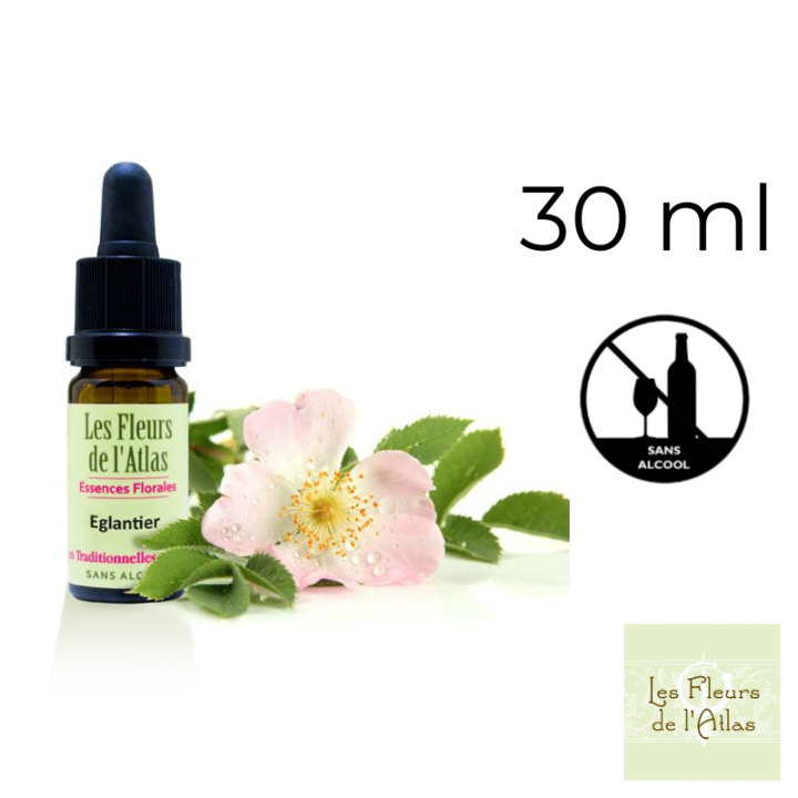 Wild Rose Fleurs de Bach sans alcool - Fleurs de l'Atlas 30 ml (Églantine) Fleurs de l'Atlas - Sans alcool 1 - mesfleursdebach.c