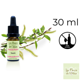 Willow Fleurs de Bach sans alcool - Fleurs de l'Atlas 30 ml (Saule) Fleurs de l'Atlas - Sans alcool 1 - mesfleursdebach.com 