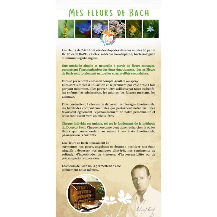 50 flyers professionnels Fleurs de Bach: rajoutez votre tampon!! Mes Fleurs de BACH 3 - mesfleursdebach.com 