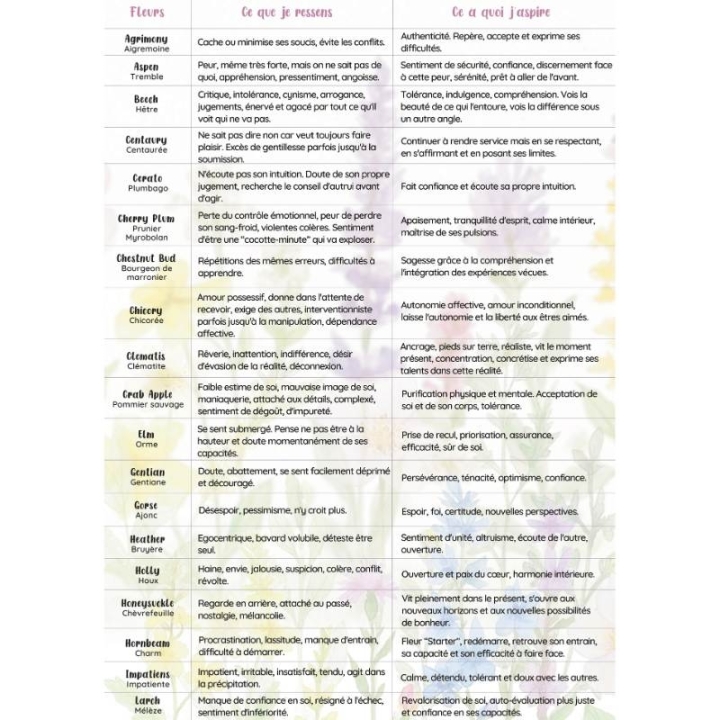 Pack de 10 livret fleurs de Bach Mes Fleurs de BACH 5 - mesfleursdebach.com 