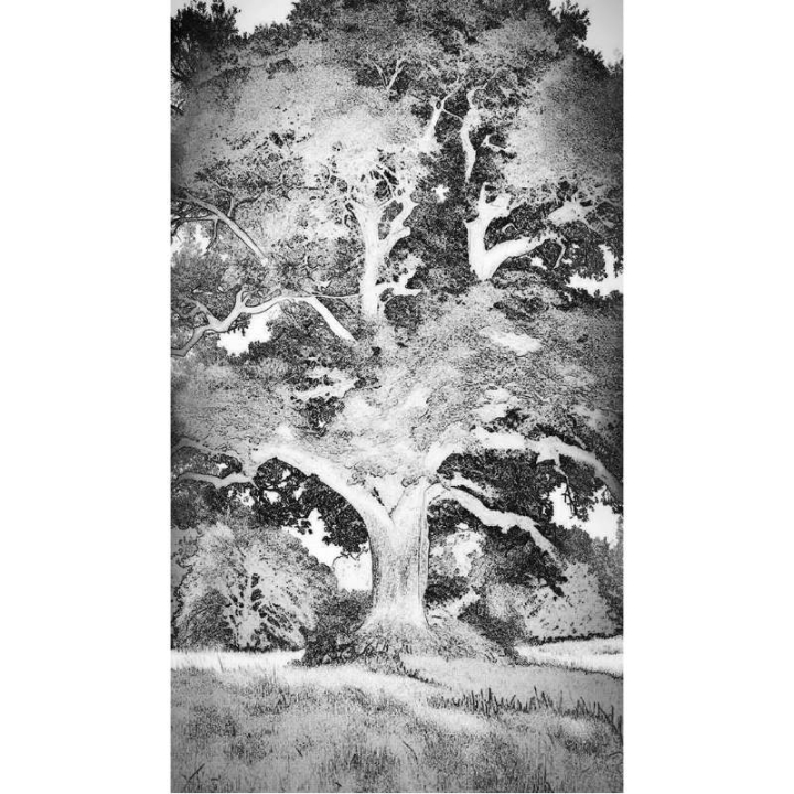 ElixSir - Dr Bach -Valérie Knight Mes Fleurs de BACH 8 - mesfleursdebach.com 