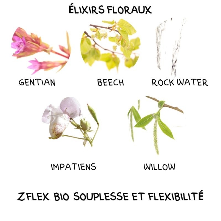 Z Flex bio souplesse et flexibilité 1 Litre Laboratoire Mint-e 8 - mesfleursdebach.com 