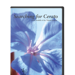 DVD - "A la recherche de Cerato" Mes Fleurs de BACH 1 - mesfleursdebach.com 