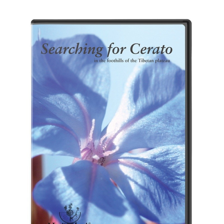 DVD - "A la recherche de Cerato" Mes Fleurs de BACH 1 - mesfleursdebach.com 