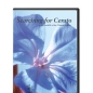 DVD - "A la recherche de Cerato"