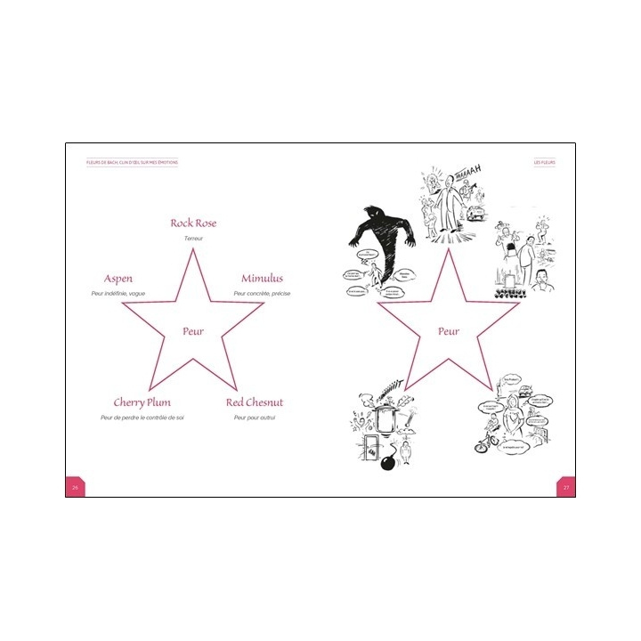 Clin d'oeil sur mes émotions de Veronique Heynen-Rademakers Mes Fleurs de BACH 7 - mesfleursdebach.com 