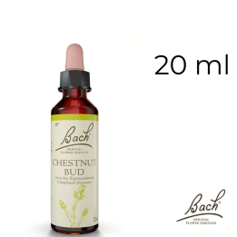 Chestnut Bud Bach Original - Fleur de Bach Authentique 20 ml (Bourgeon de Marronnier) Bach Original Nelsons 1 - mesfleursdebach.