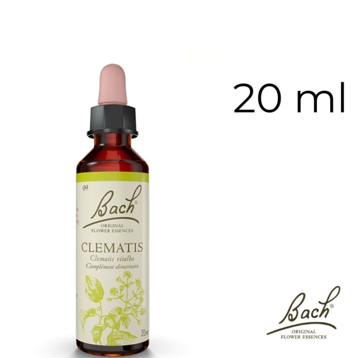 Clematis Bach Original - Fleur de Bach Authentique 20 ml (Clématite) Bach Original Nelsons 1 - mesfleursdebach.com 