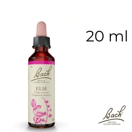 Elm Bach Original - Fleur de Bach Authentique 20 ml (Orme) Bach Original Nelsons 1 - mesfleursdebach.com 