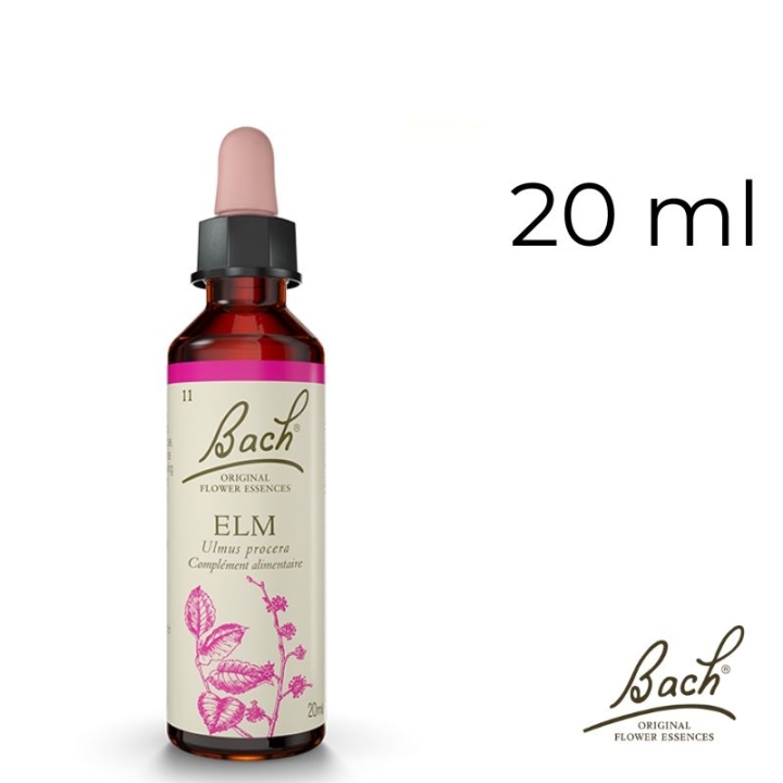 Elm Bach Original - Fleur de Bach Authentique 20 ml (Orme) Bach Original Nelsons 1 - mesfleursdebach.com 