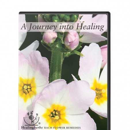 DVD -"A journey into Healing"