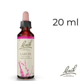 Larch Bach Original - Fleur de Bach Authentique 20 ml (Mélèze) Bach Original Nelsons 1 - mesfleursdebach.com 